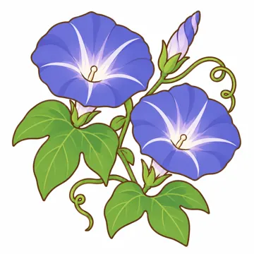 天気・自然・植物 天気・自然・植物 植物:あさがお