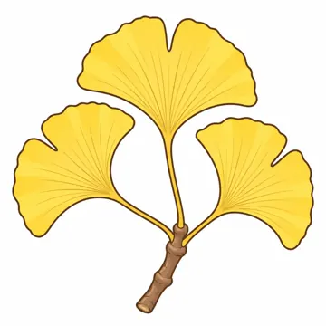 天気・自然・植物 天気・自然・植物 植物:いちょう