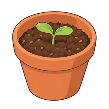 天気・自然・植物 天気・自然・植物 植物:植木鉢と土と芽
