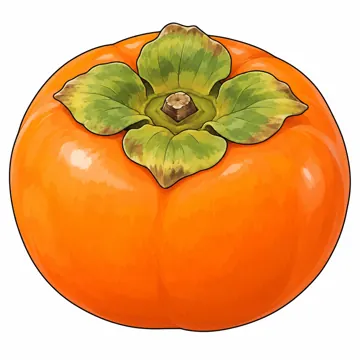食べ物・野菜・果物 食べ物・野菜・果物 果物:かき