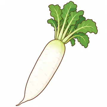 食べ物・野菜・果物 食べ物・野菜・果物 野菜:だいこん