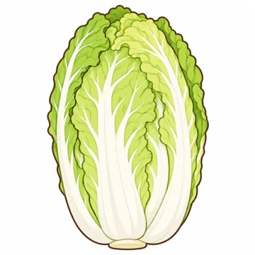 食べ物・野菜・果物 食べ物・野菜・果物 野菜:はくさい