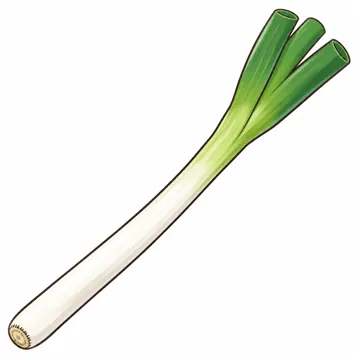 食べ物・野菜・果物 食べ物・野菜・果物 野菜:ねぎ