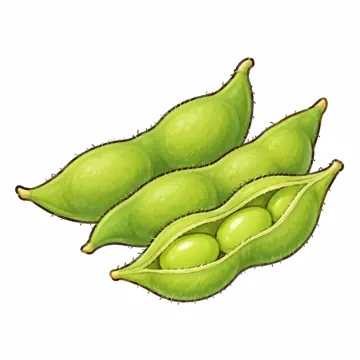 食べ物・野菜・果物 食べ物・野菜・果物 野菜:えだまめ